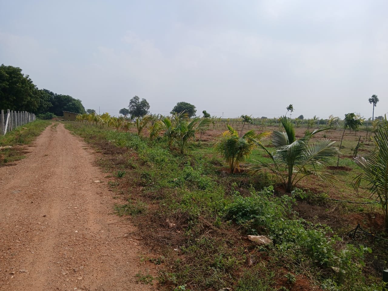 Farm Land by Anantham Promoters - Samayapuram, Trichy
