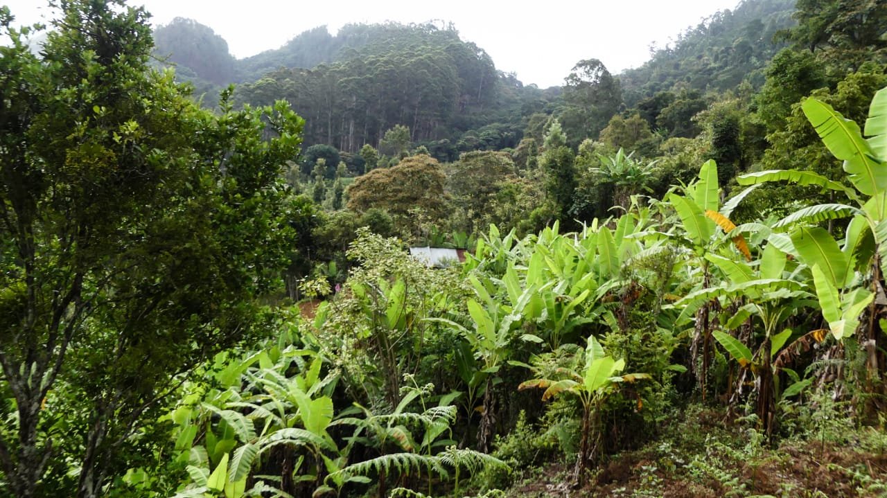 RK REAL ESTATE Kodaikanal property