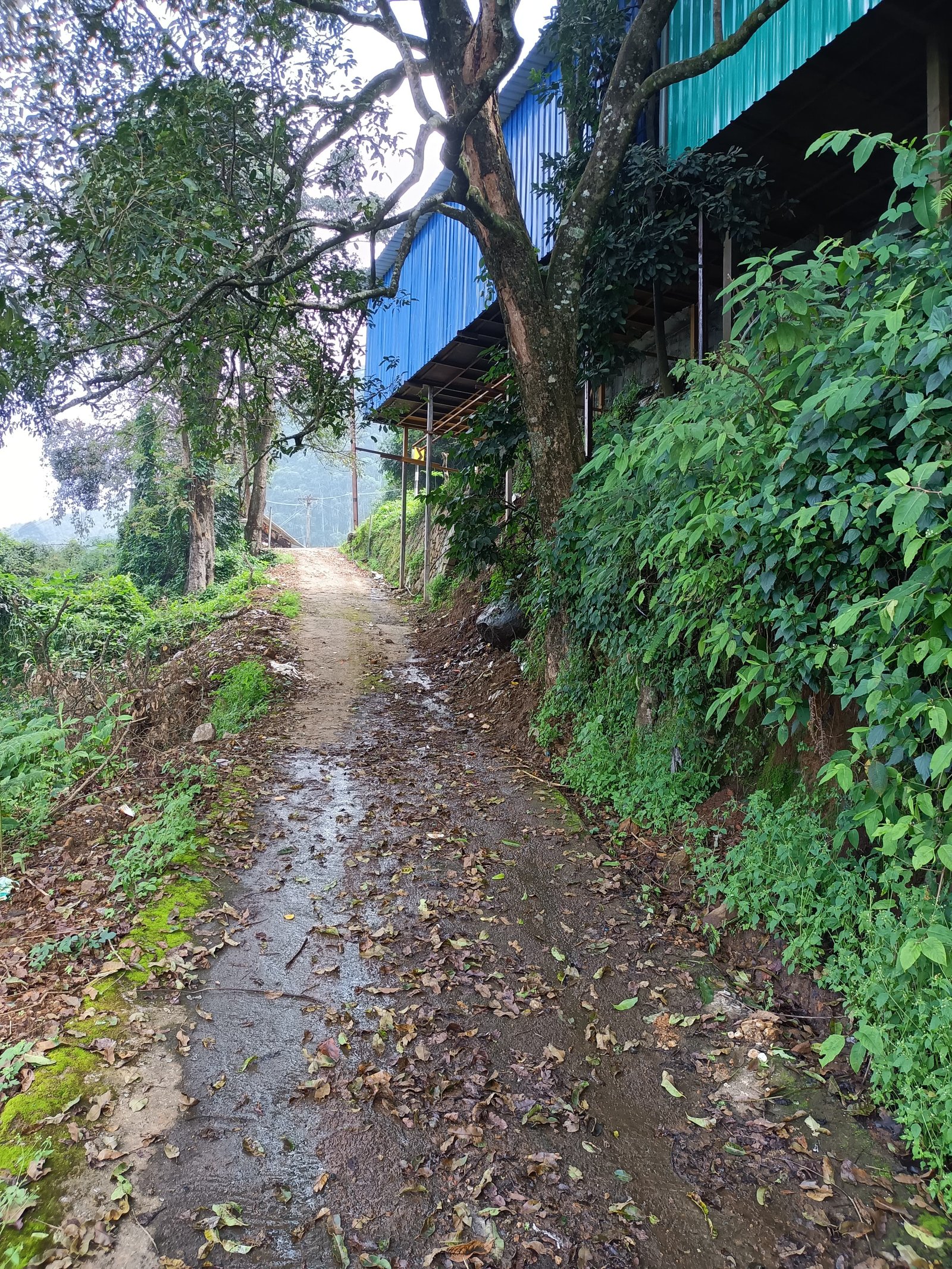 Estate for Sale - Trichy