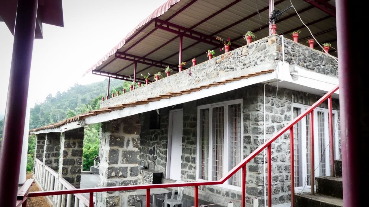 Coffee Plantation - Kodaikanal