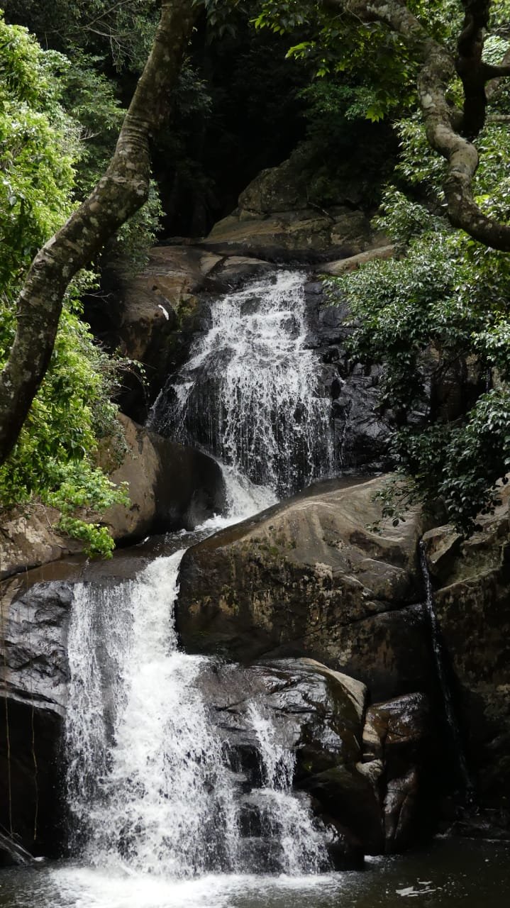 Estate Jeep & Equipment