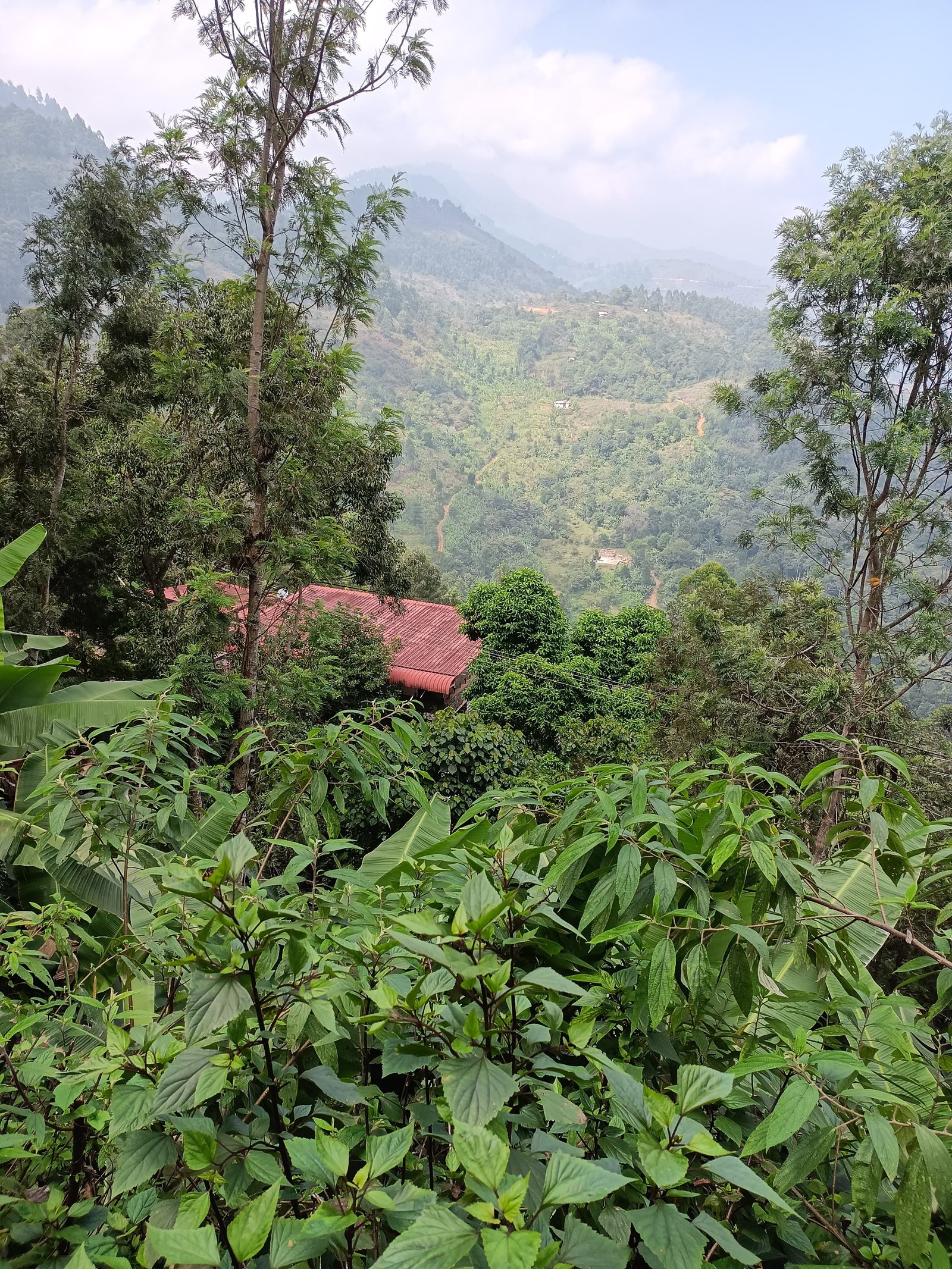 Coffee Processing Unit - Kodaikanal